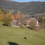 Walcherhof Apartment *