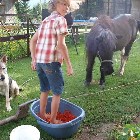 Walcherhof Apartment