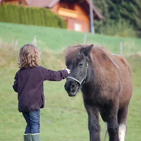 Апартаменты Walcherhof Арриах