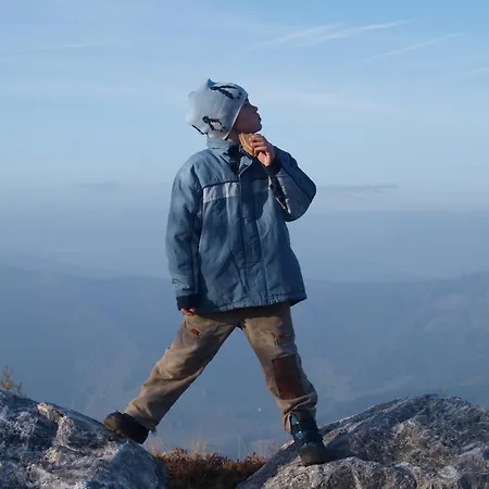 Walcherhof Апартаменты