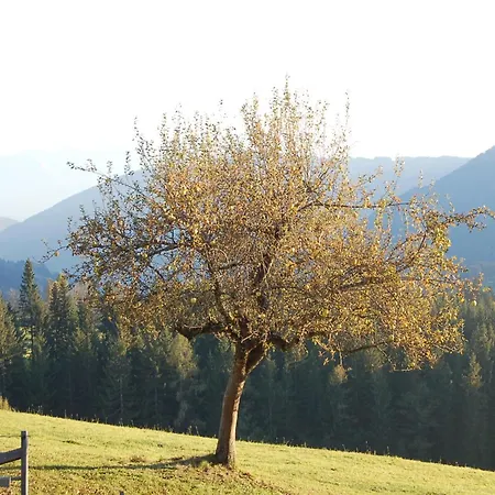 Апартаменты Walcherhof *