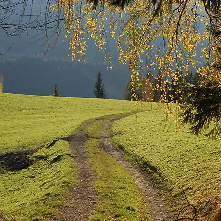 Апартаменты Walcherhof *