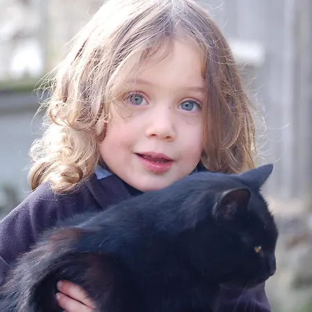 Apartment Walcherhof *