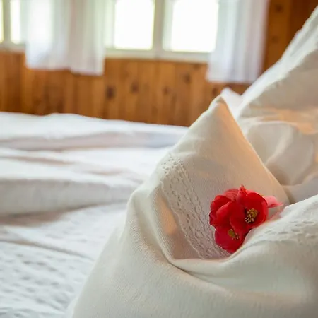 Walcherhof Апартаменты Арриах