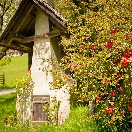Walcherhof Lägenhet Arriach