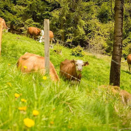 Walcherhof * Arriach