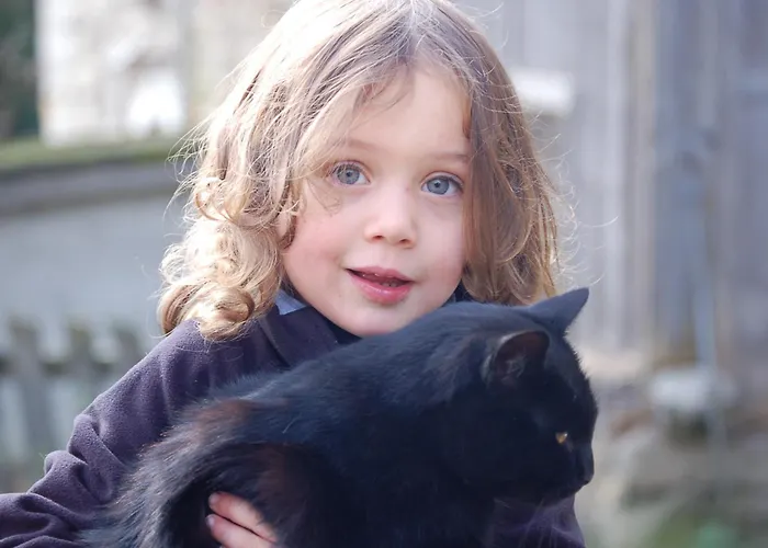 Apartment Walcherhof *